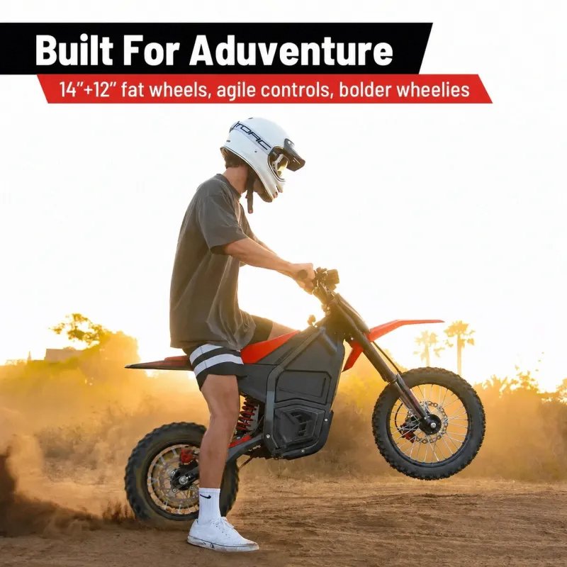 Off-Road Electric Bike